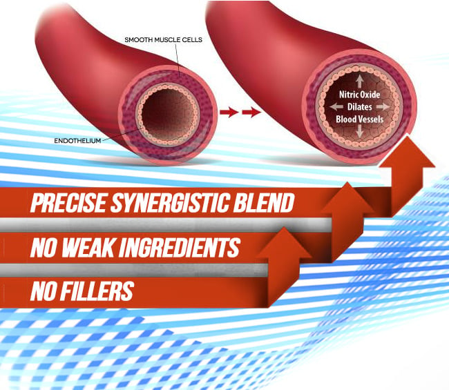 - Precise Synergistic Blend - No Weak Ingredients - No fillers